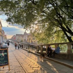 Naviglio milano